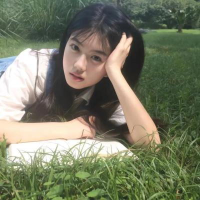 彩叶草之梦